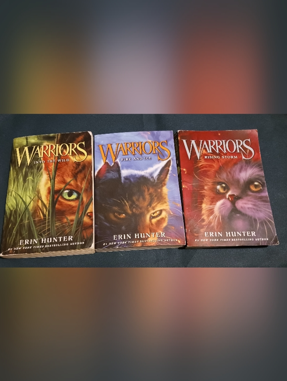 Warriors 1, 2 and 4 (The Prophecies Begin)